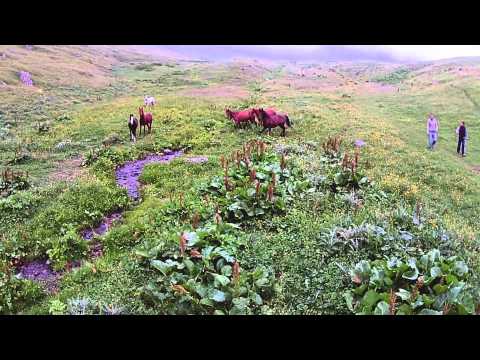 დრონის თვალით დანახული ჯუთა-ზეთა